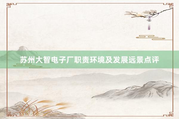 苏州大智电子厂职责环境及发展远景点评